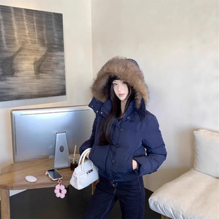 藏青色大毛领连帽短款羽绒棉服外套女冬季新款面包服加厚棉衣短款