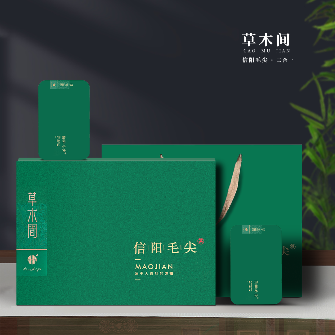 信阳毛尖茶2024新茶雨前毛尖芽叶茶叶春茶绿茶浓香型礼盒装250g