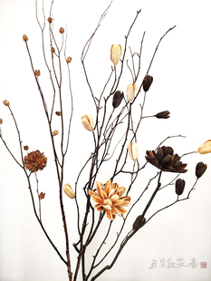 木槿莲洛神花插花干花干支咖啡馆艺术馆民宿家居摆设花瓶摄影道具