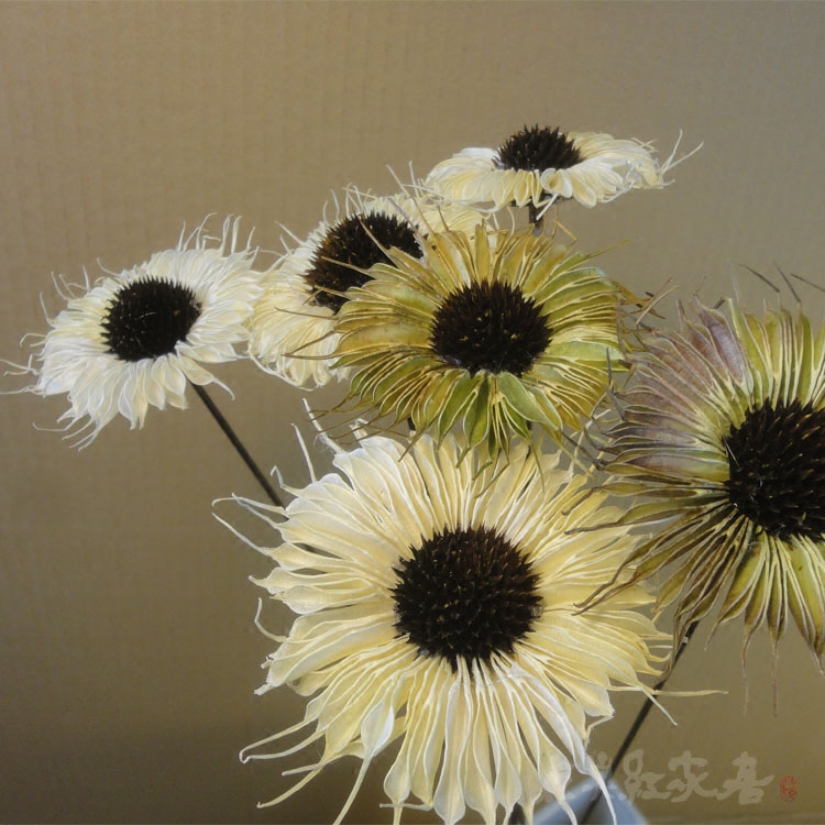 【万道光芒】太阳菊手工真花插花干花装饰花艺花束客厅 消夏新品