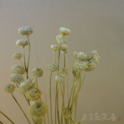 【小钻石花】森系进口干花花束拍摄道具家居装饰真干花 消夏新品