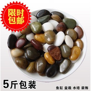 水培鹅卵石 雨花石 装饰花盆大号石头 鱼缸石 彩石 河沙石装饰