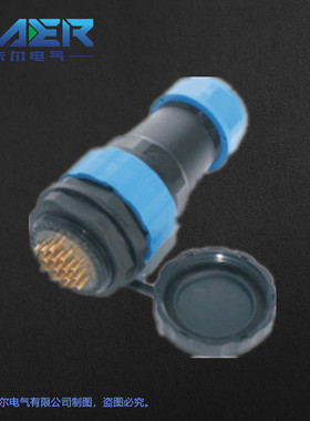 厂家供应国产汽车连接器SD28-19黑色19芯线束接插件询价为准