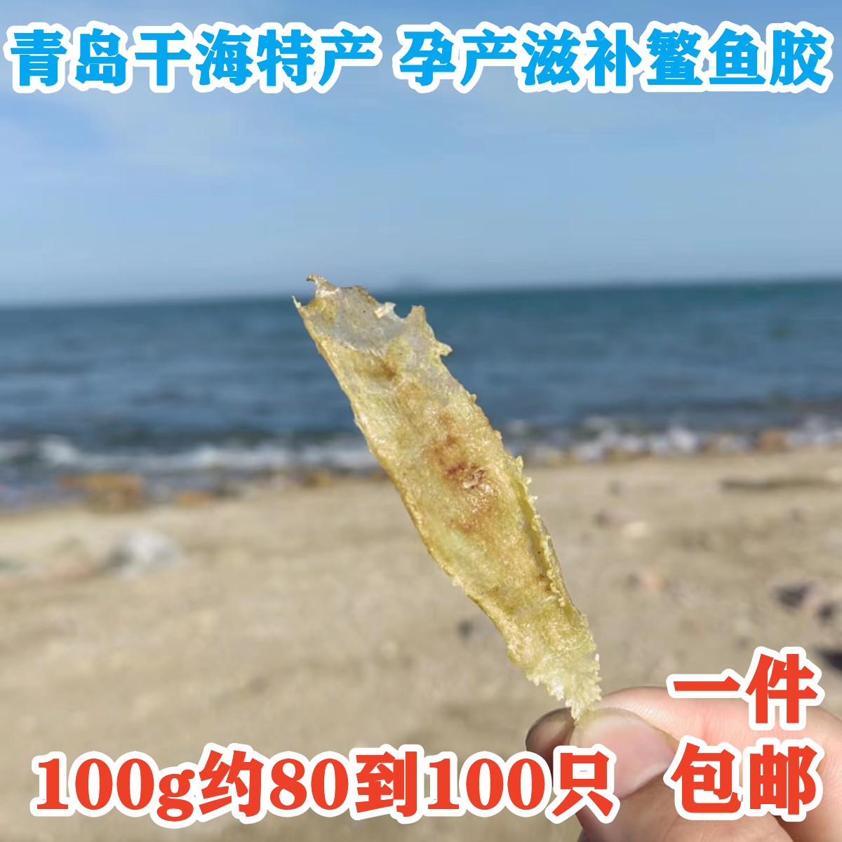 青岛干海特产孕产月子滋补食材鳘鱼胶赤嘴胶鱼鳔鱼肚100g一件包邮