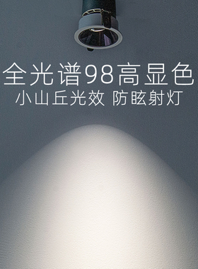 小山丘光效LED射灯天花灯筒灯 全光谱98高显洞孔灯吊顶嵌入式三色