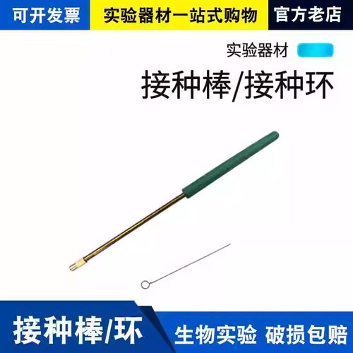 接种棒接种环微生物实验用