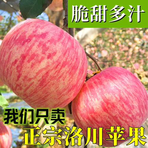 【商超品质】洛川苹果脆甜红富士
