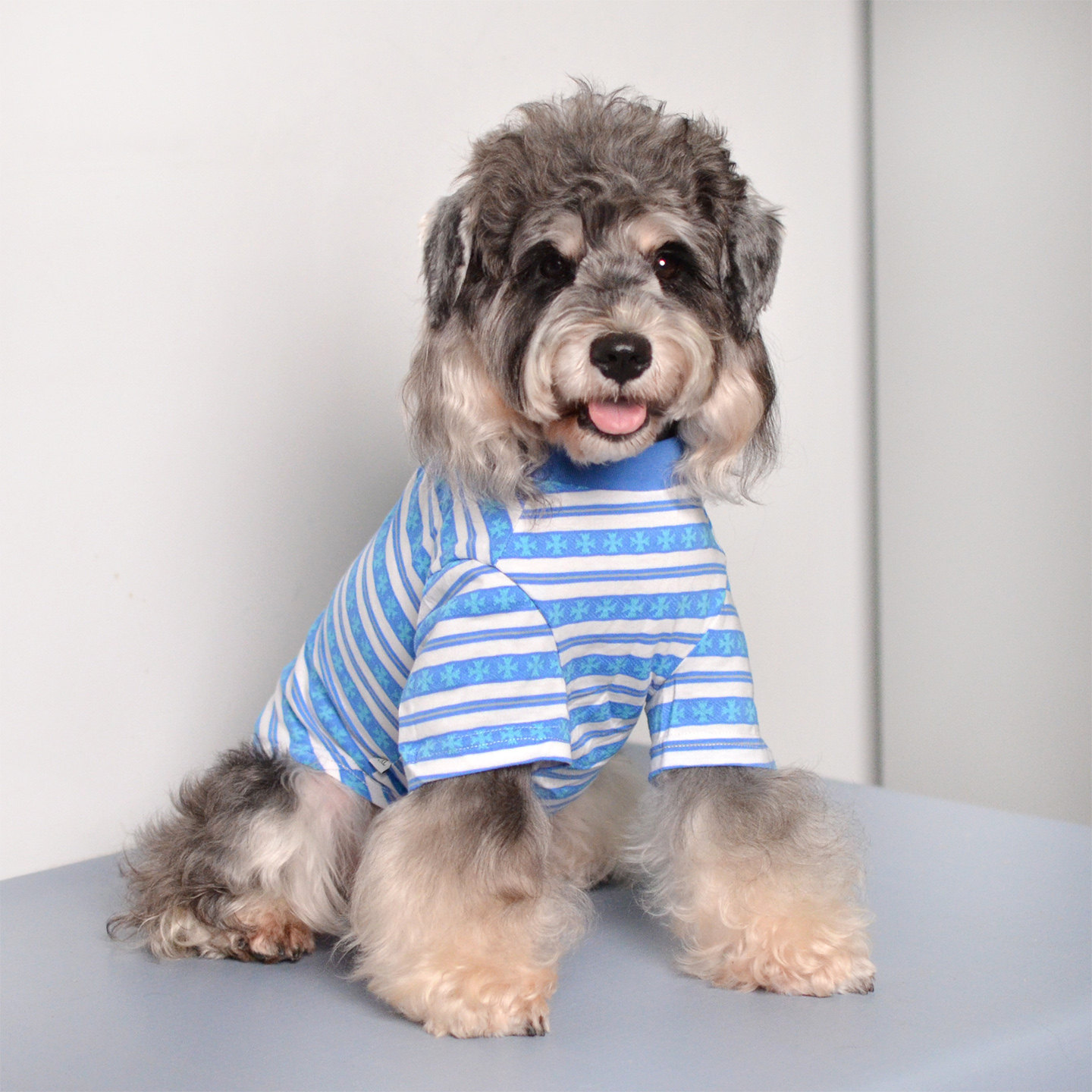PETLOVE春秋美式短袖狗狗打底衣图片