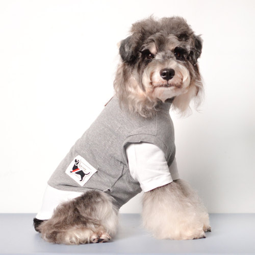 小狗衣服春秋中小型犬护毛棉狗衣