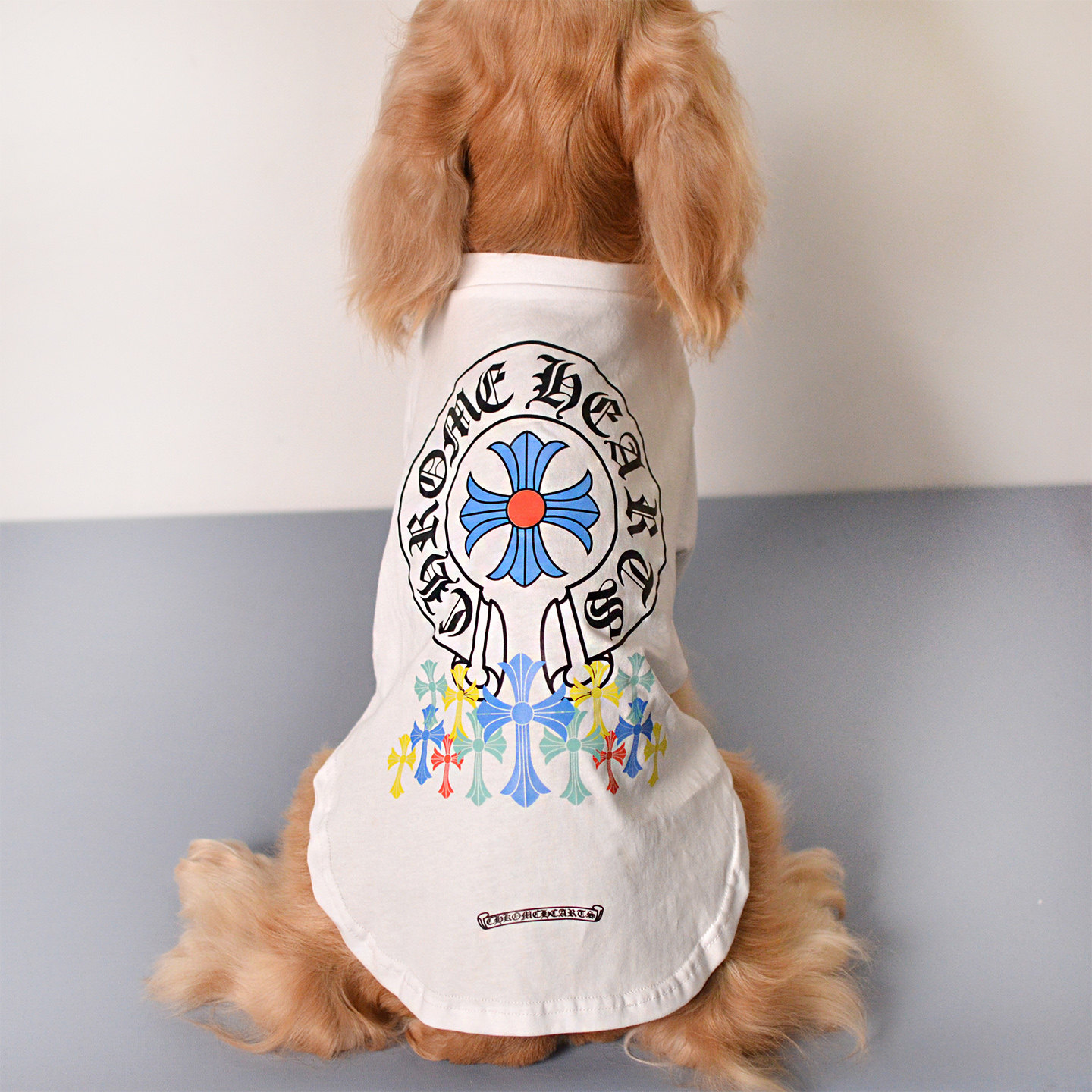狗狗衣服西施泰迪比熊雪纳瑞边牧巨贵中小型犬时尚透气舒适棉短袖