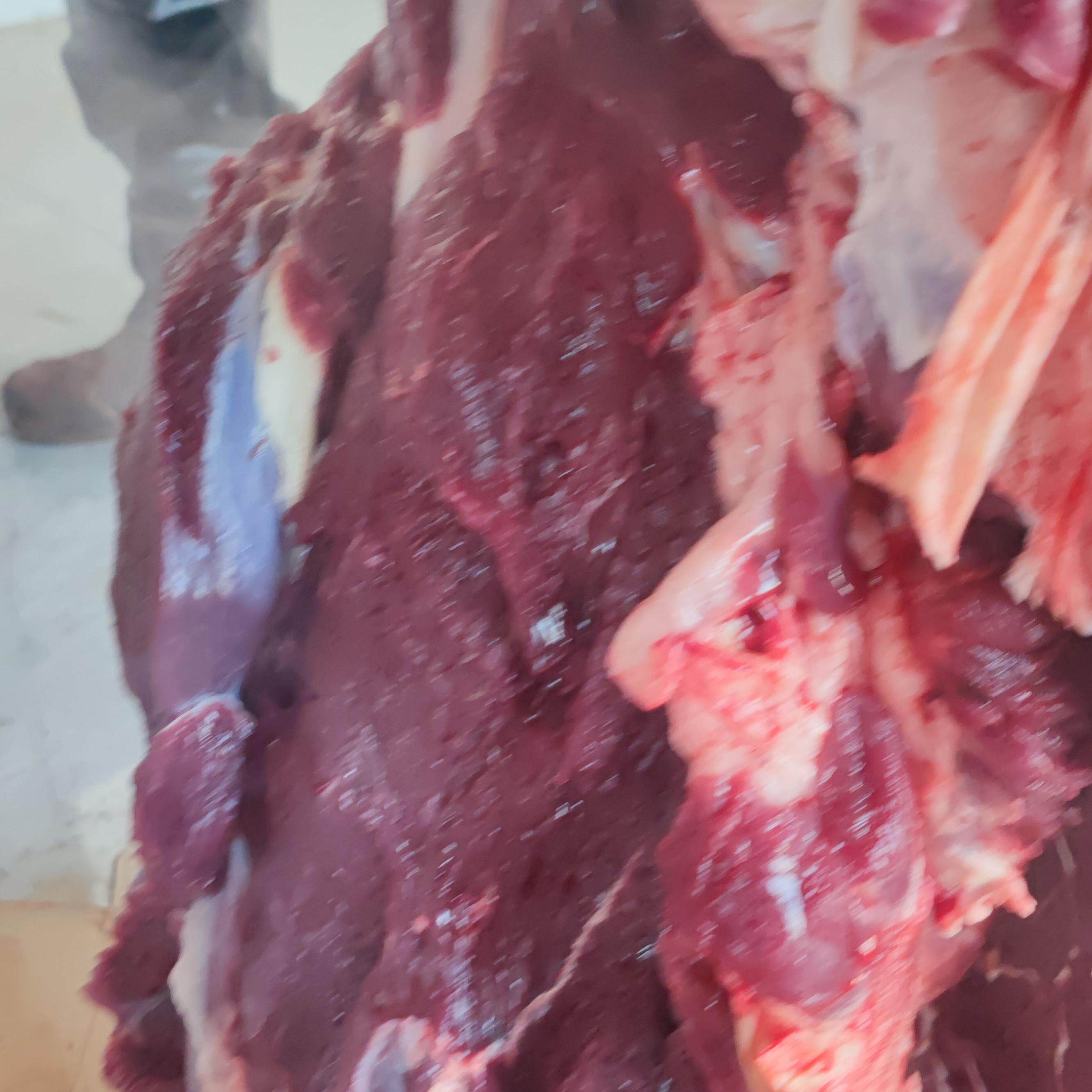 全绿野骆驼肉整块包邮 无骨腿肉 现宰红驼肉瘦香 常饮山泉无膻味