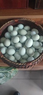 乌鸡蛋60枚一件包邮 珍珠棉包装 内蒙草原野外放养乌鸡 现捡新鲜