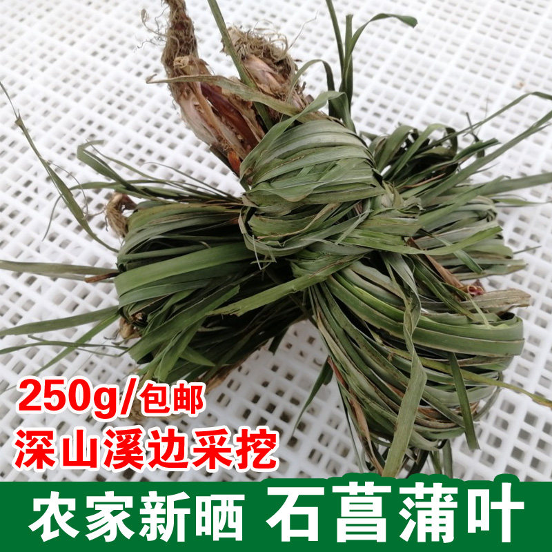 深山采收新货晒干石菖蒲叶新鲜九节山菖蒲月子泡澡中药材250g