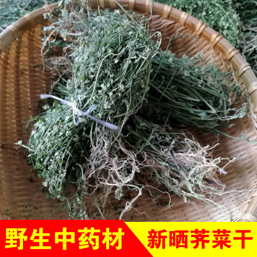 新货野生荠菜干带花带根整棵晒干图片