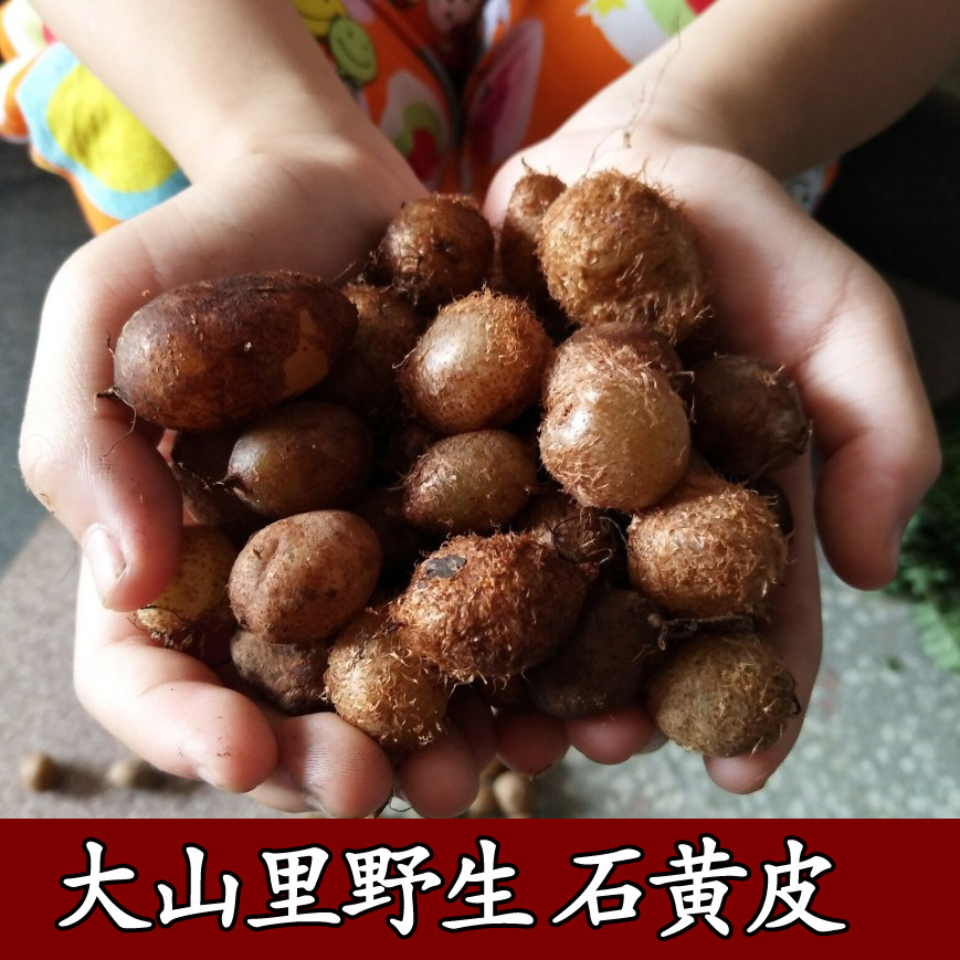 现挖新鲜肾蕨果 精选石黄皮凤凰蛋 中药材煲汤料促销500g包邮