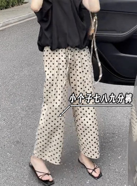小矮个子145七分白色休闲波点裤女夏季韩版高腰宽松八分阔腿裤xxs