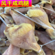 农家腌制咸鸡腿风干鸡腿腊鸡腿鸡棒腿传统鸡腿腌制土鸡腿咸鸡20个