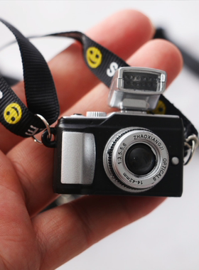 塑料仿真相机娃娃屋摄影道具