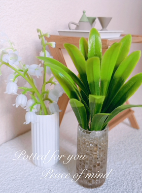 塑料微缩花小清新娃娃屋