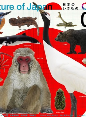 日本正版IKIMON 第1弹 日本自然界的生物扭蛋 棕熊龙虾翠鸟绿树蛙