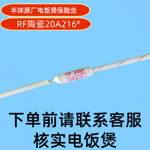 电饭煲温度保险丝250V/10A