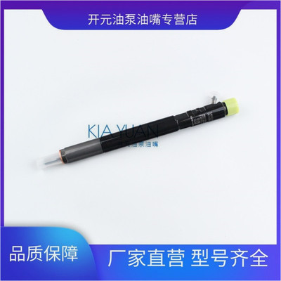 喷油器总成EJBR04701D适用德尔福 双龙享御喷油嘴 双龙爱腾 5301D