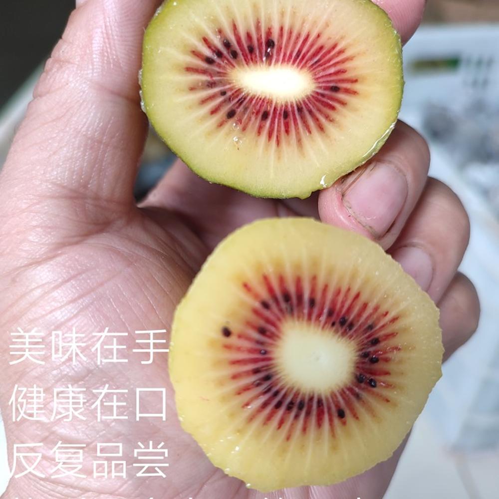 全程亲自健康种植美味红心猕猴桃
