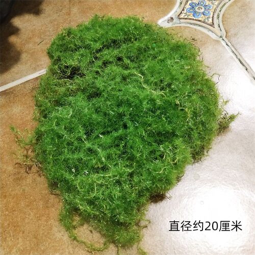 绿色苔藓皮 青苔植绒摆件 软装造景假山草皮草坪毛石头仿真苔藓块