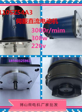 110SZ54 直流交流电机 3000转  308w 220vSZ微型直流伺服电动机