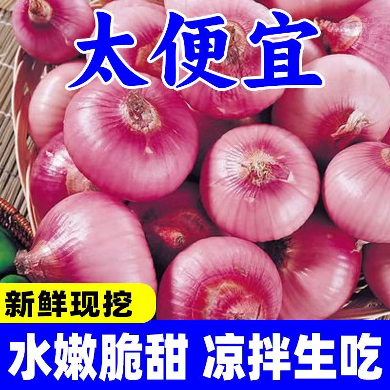 品质水果洋葱生吃不辣新鲜
