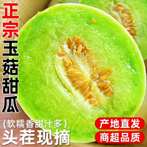山东冰淇淋玉菇甜瓜新鲜水果当季现摘现发小香瓜蜜瓜甜瓜玉菇瓜