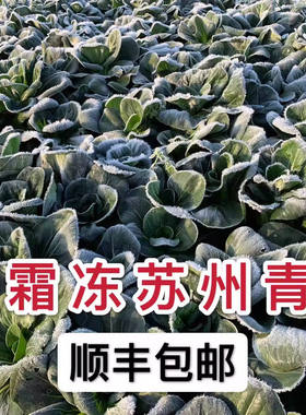 顺丰江苏霜打青菜农家自种蔬菜霜降上海青新鲜当季矮脚霜冻苏州青