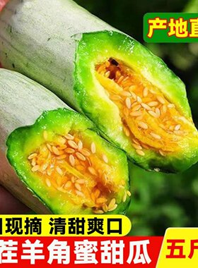 山东当季头茬脆甜羊角蜜