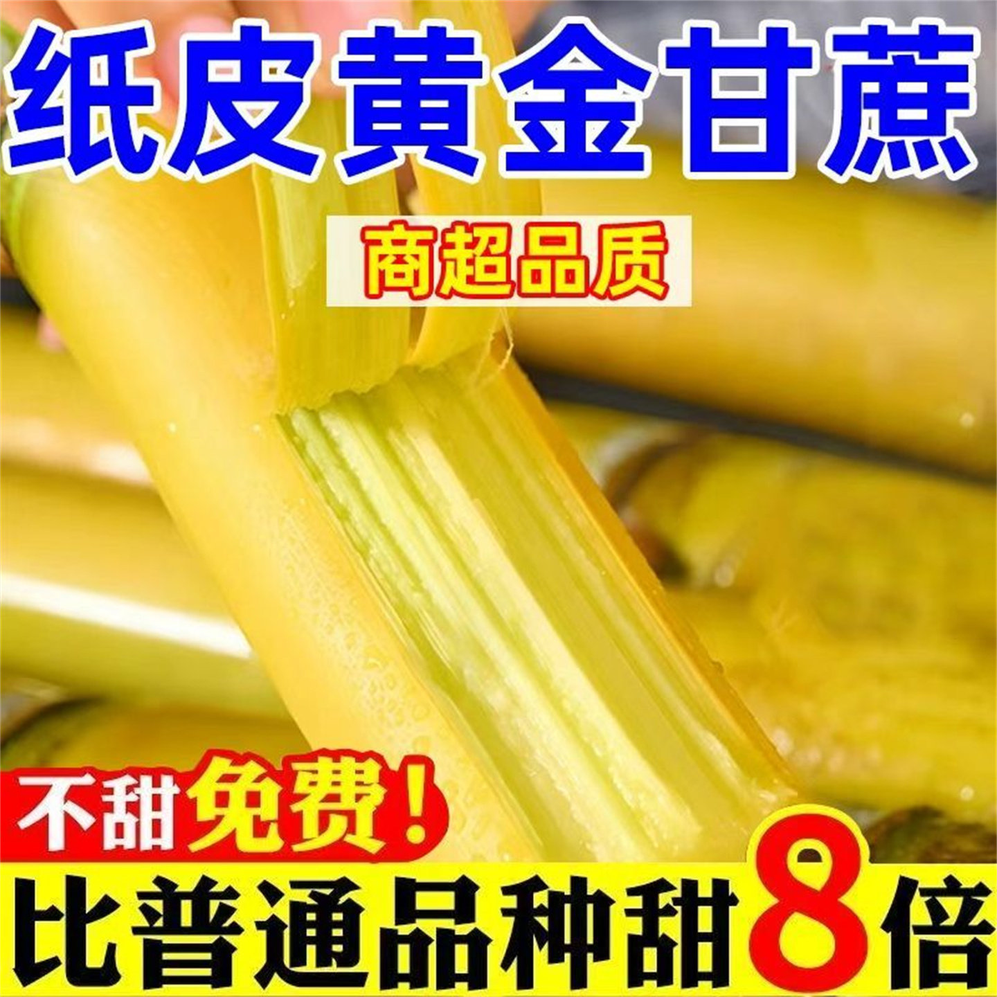 正宗云南黄皮甘蔗新鲜批发水果新鲜当季整箱一级中段黄金鲜甘蔗,水产肉类/新鲜蔬果/熟食,甘蔗,淘宝优惠券,粉丝福利购,淘宝优惠卷
