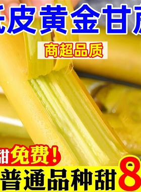 正宗云南黄皮甘蔗新鲜批发水果新鲜当季整箱一级中段黄金鲜甘蔗