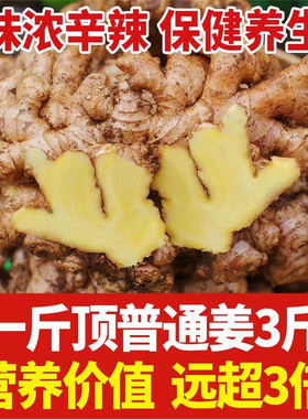 品质小黄姜正宗云南老姜新鲜蔬菜干姜泡脚姜栓生姜罗平姜种现挖姜