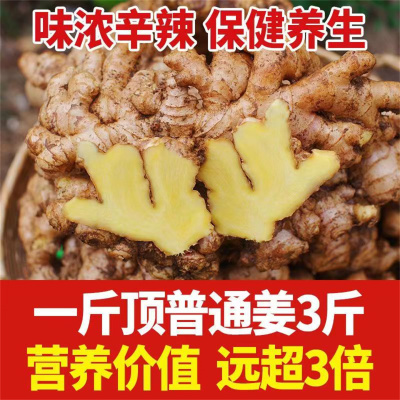 品质小黄姜正宗云南老姜新鲜蔬菜干姜泡脚姜栓生姜罗平姜种现挖姜
