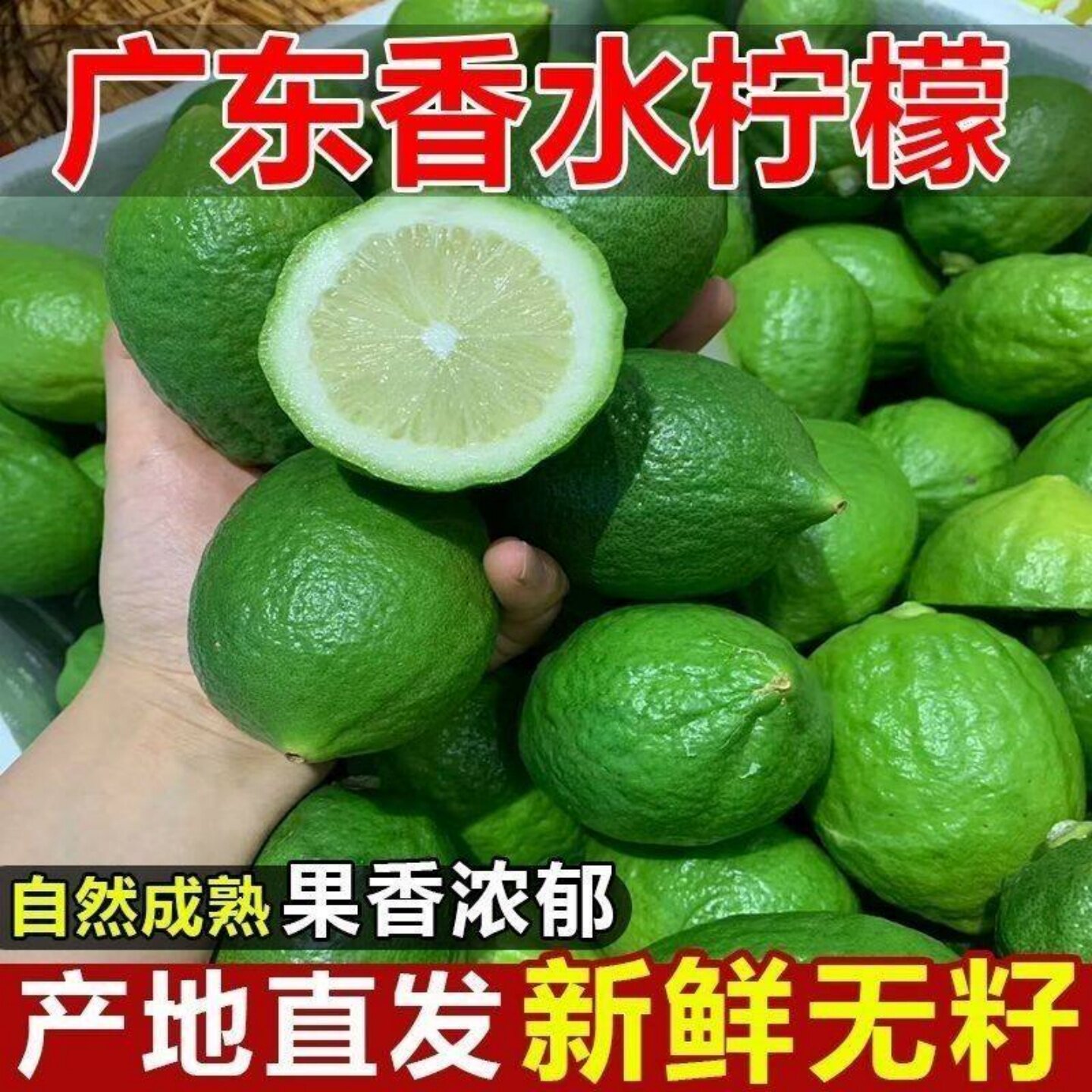 正宗广东香水柠檬新鲜爆香水果正宗一级无籽精品奶茶大果专用多汁
