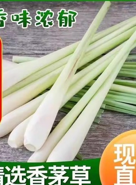 品质香茅新鲜香茅草食用蔬菜农家自种现摘现发时令应季柠檬草香料