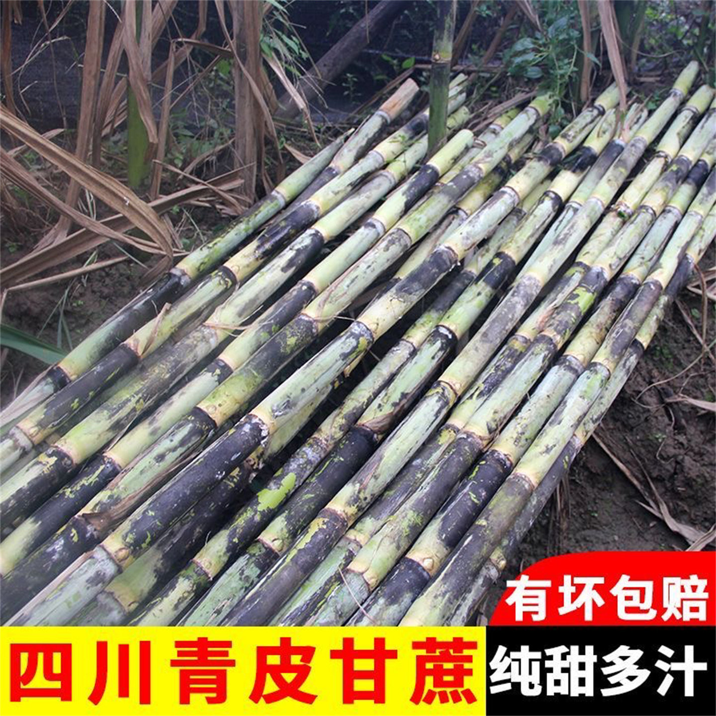 四川青皮甘蔗新鲜当季整箱一级