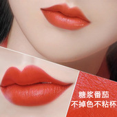 兰奕 细跟口红雨衣不沾杯网红豆沙姨妈色化妆品