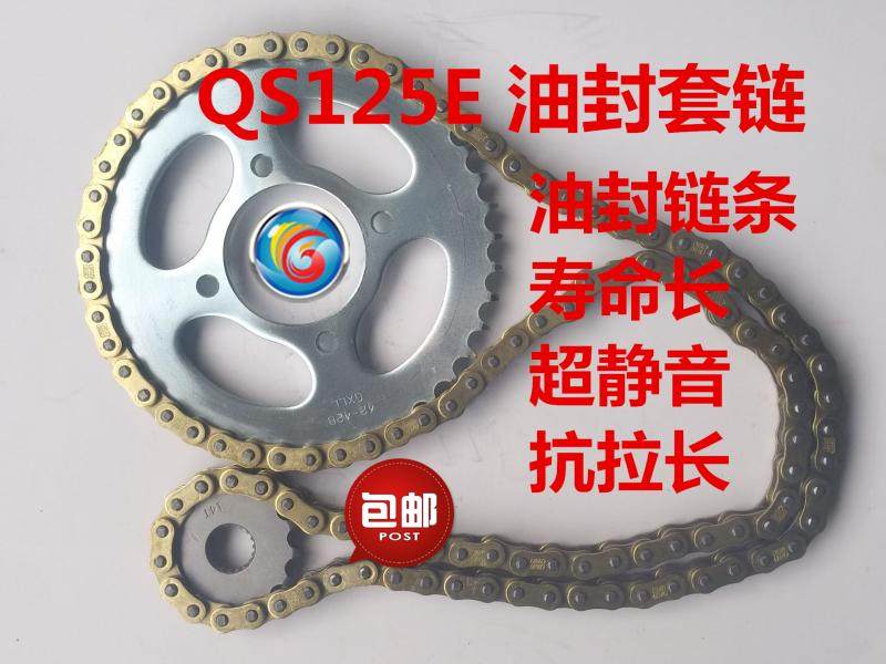 适轻骑铃木太子风飚QS125E风彪摩托车套链链轮油封链条大小飞牙盘