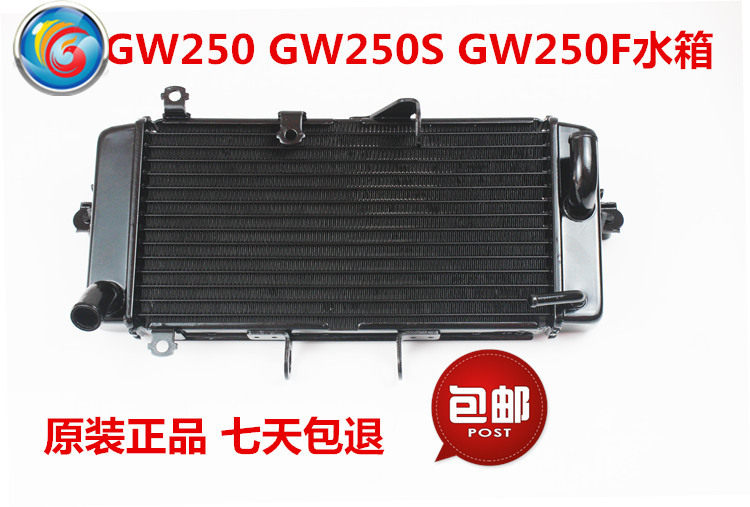 适用铃木摩托车骊驰GW250 GW250S GW250F水箱散热器冷水器弯头