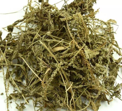 车前草 野生 500g广西中药材|msdalam kategori makanan berkhasiat tradisional, Ubat-ubatan dan makanan yang boleh dimakan, Lain Perubatan dan Makanan yang boleh dimakan - dari Buy2taobao.com untuk memberikan perkhidmatan ejen Taobao profesional membeli