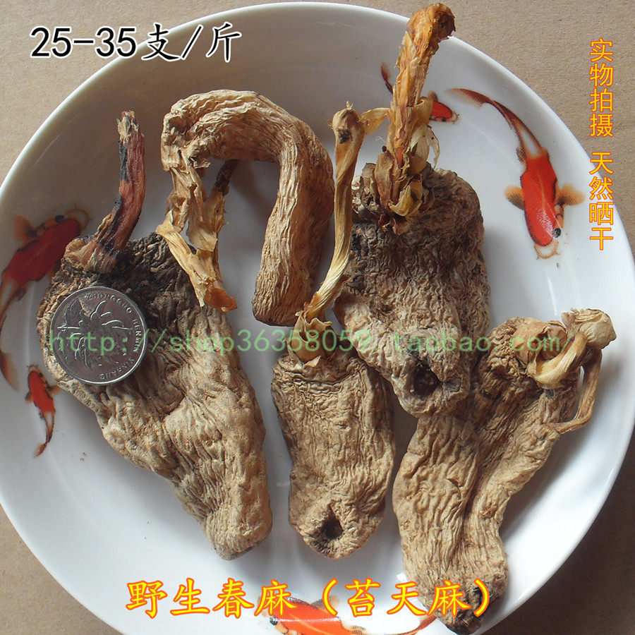 神农架野外生长春天麻250g(苔天麻)新采无硫产地直销非云南