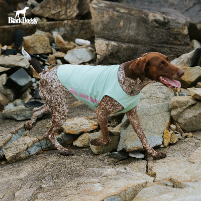 BlackDoggy2025春夏新品狗狗夏季冰丝背心速干快速散热UV40+防晒