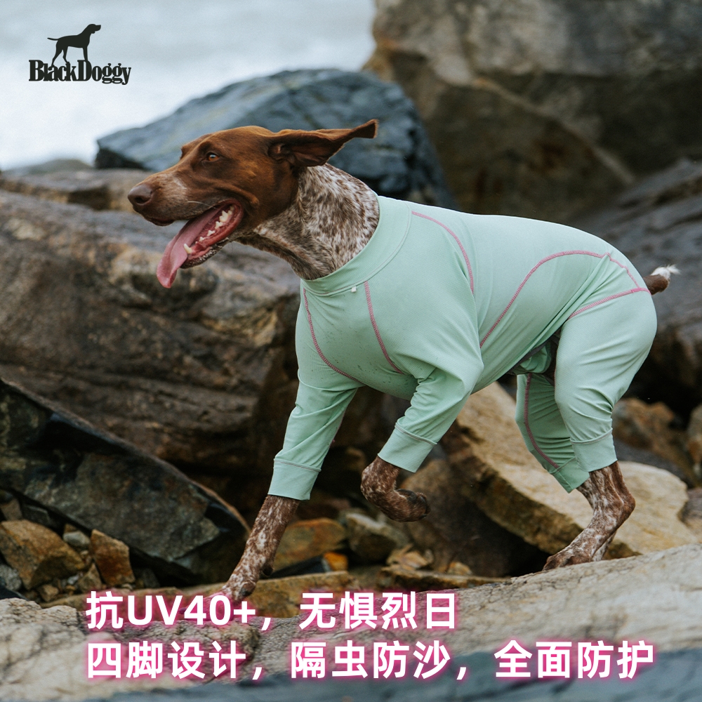 BlackDoggy2025狗狗四脚凉凉衣