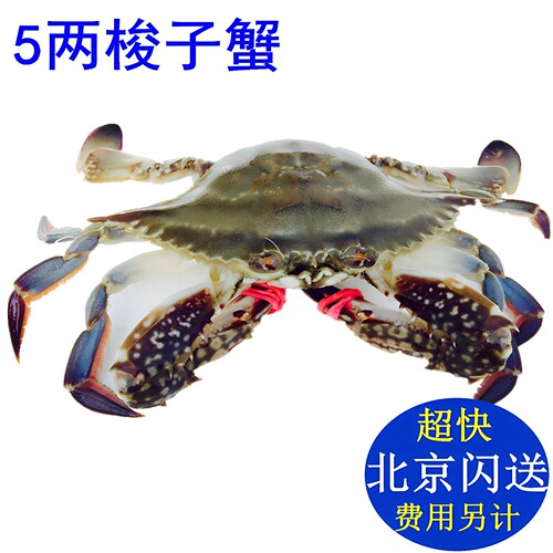 海蟹梭子蟹北京可闪送