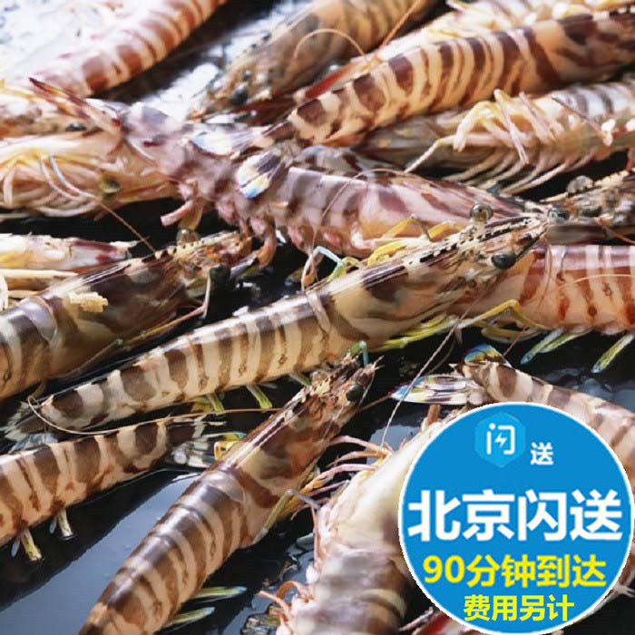 鲜活基围虾 海白虾九节虾竹节虾海虾海鲜明虾500g北京满额闪送