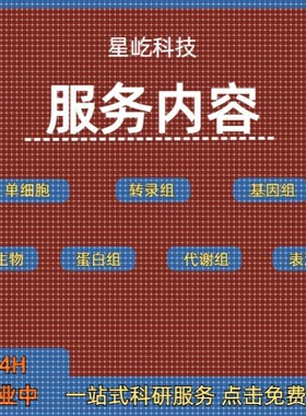 Materials Studio分子动力学模拟ms软件中英文视频MS中文系列教学